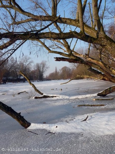 Hövel Dove Elbe Winter